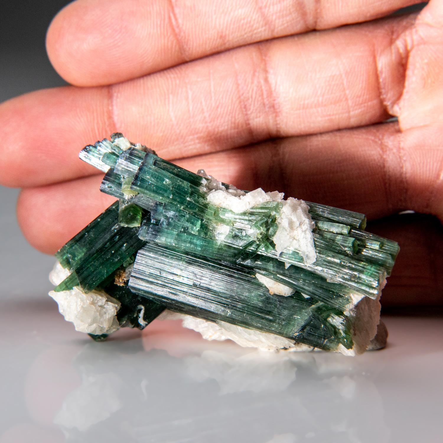 from Paprok, Kamdesh District, Nuristan Province, Afghanistan Several prismatic crystals of green elbaite tourmaline long in platy white albite crystals. The tourmaline crystal is well defined with deeply striated crystal faces. The elbaite