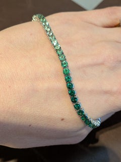 Green Tsavorite Color Shade Tennis Bracelet White Gold 18k Gradient 18cm MXHM