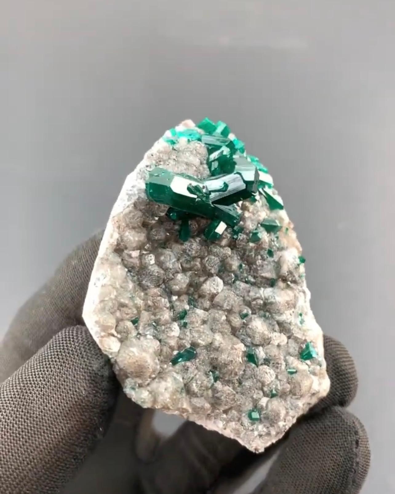 Stile Adam Green Twinned Dioptase Crystals On Calcite Matrix From Republic Of Congo in vendita