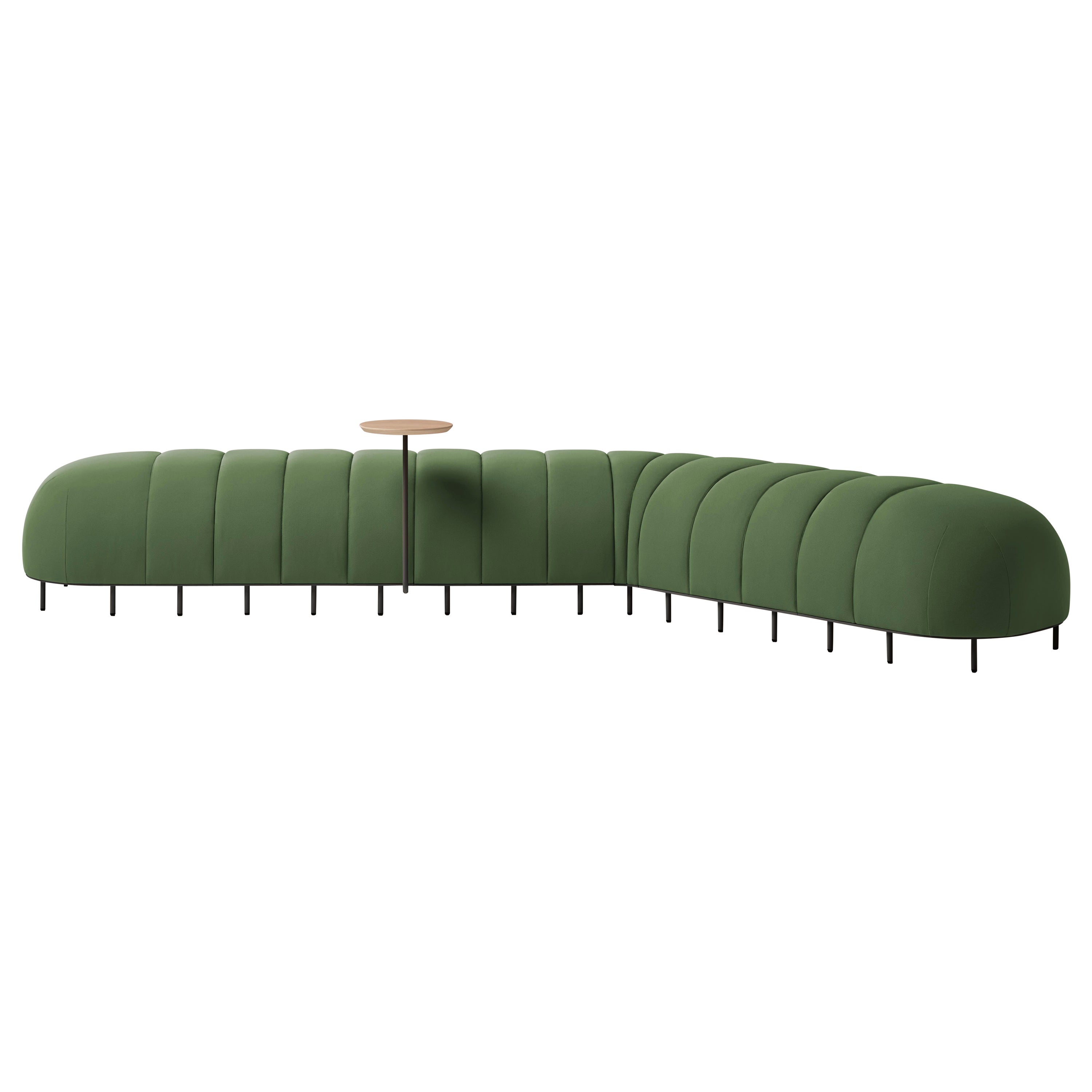 Green Worm Bench V by Pepe Albargues For Sale