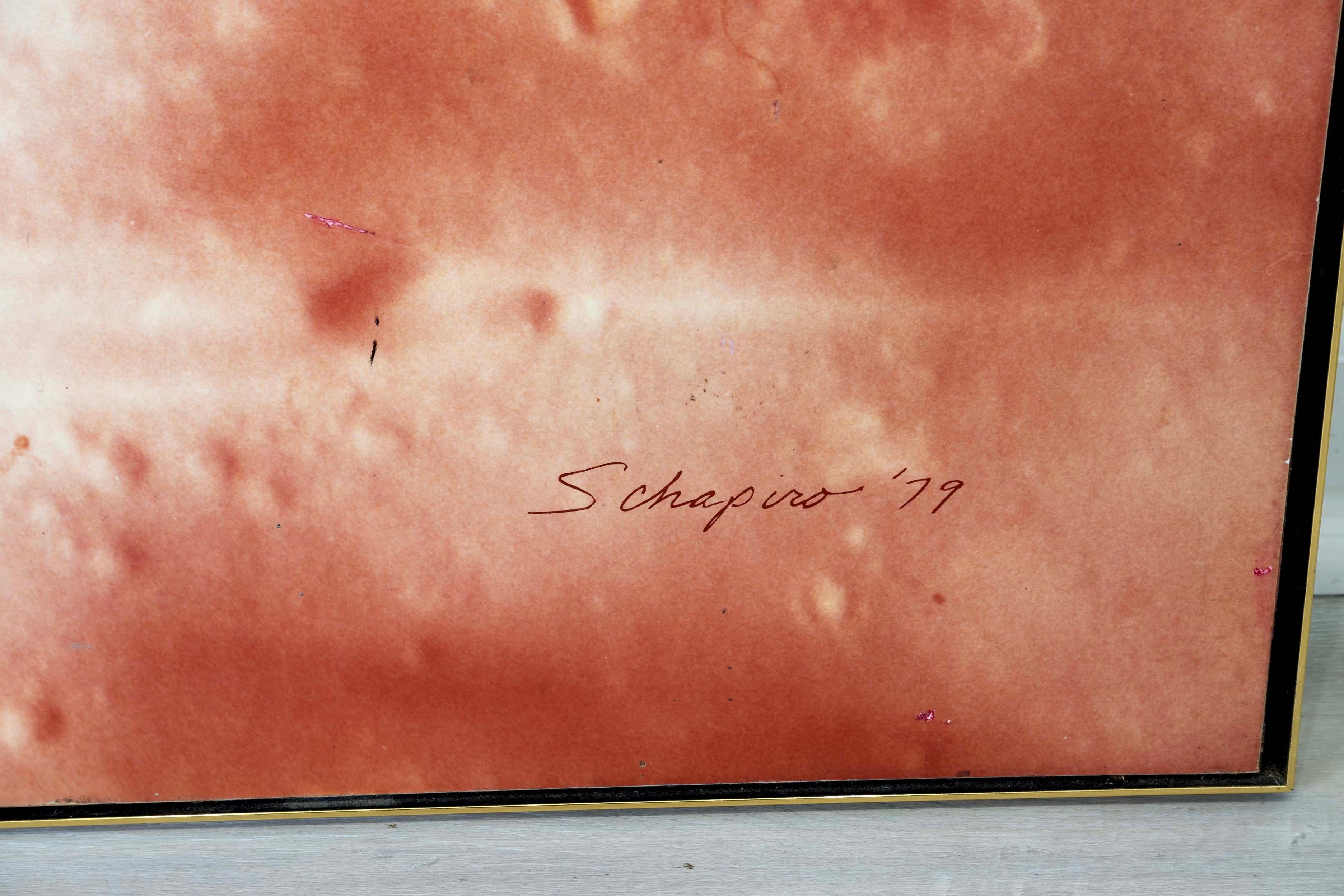 Carta Greg Copeland Red Rose Contemporary Stampa cromofotografica su tavola 1978 Incorniciato in vendita
