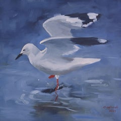 Happy Seagull, Painting, Oil on Canvas