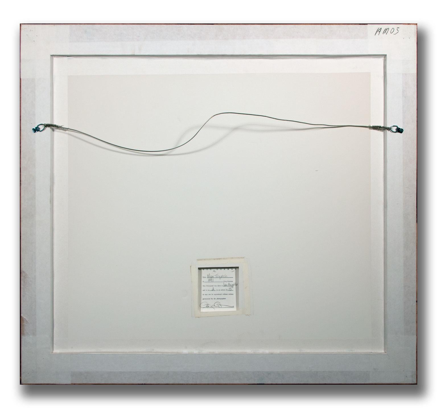 Nisa Triptychon Limitierter handsignierter Gelatinesilberdruck von Greg Gorman, gerahmt im Angebot 13