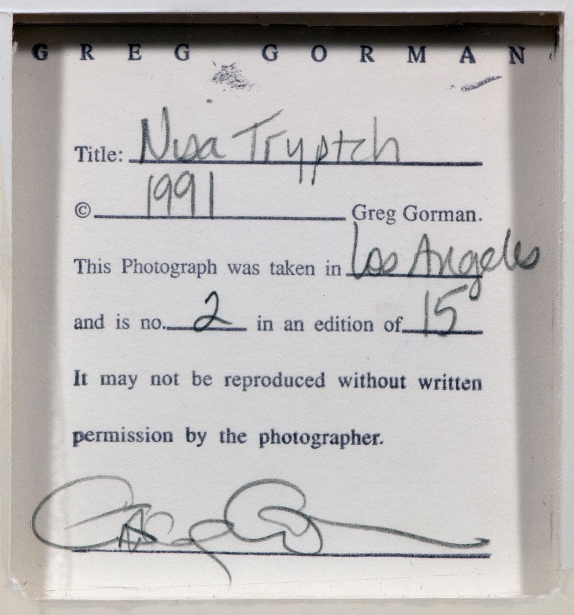 Nisa Triptychon Limitierter handsignierter Gelatinesilberdruck von Greg Gorman, gerahmt im Angebot 14