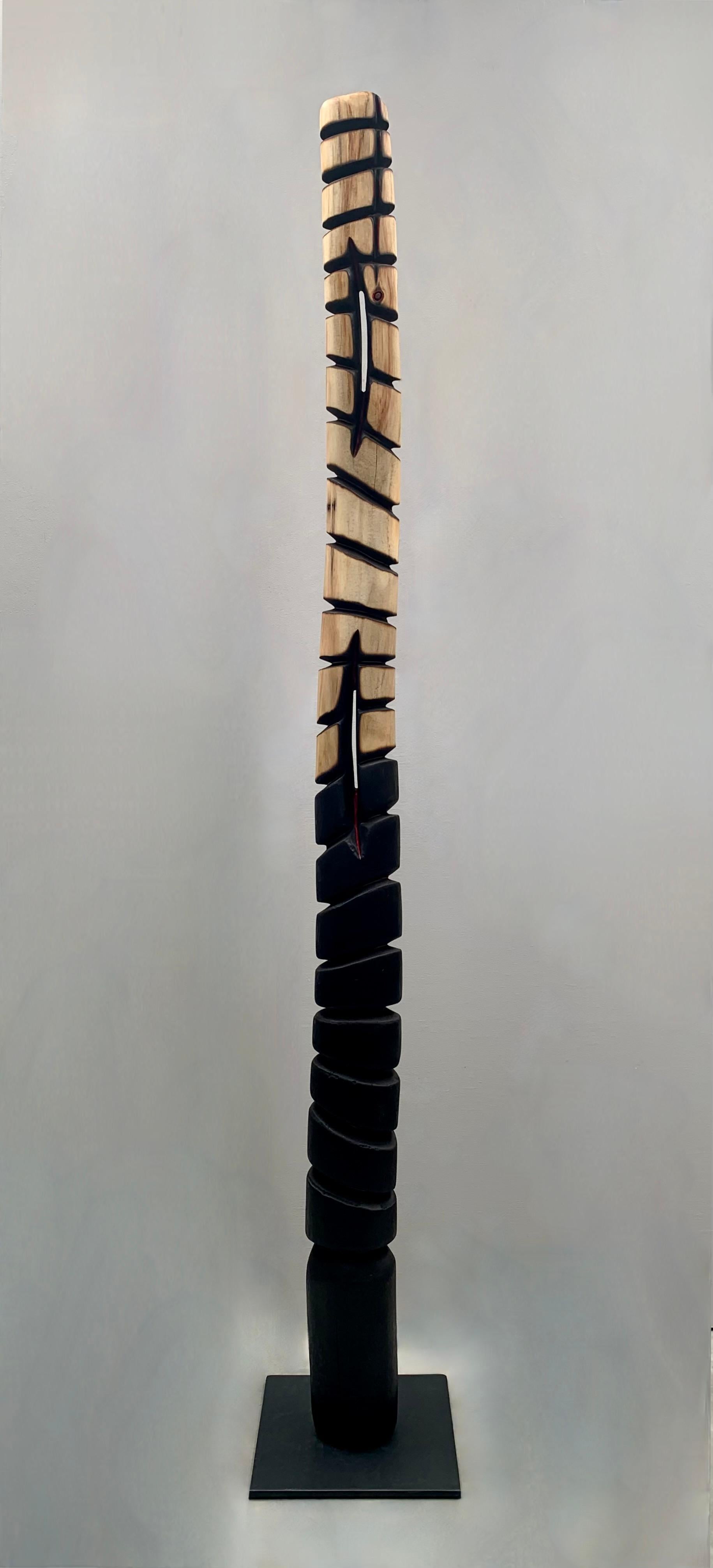 Transition (Black)