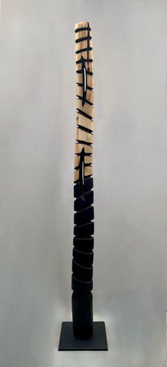 Transition (Black)