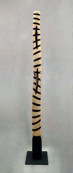 Transition (White)