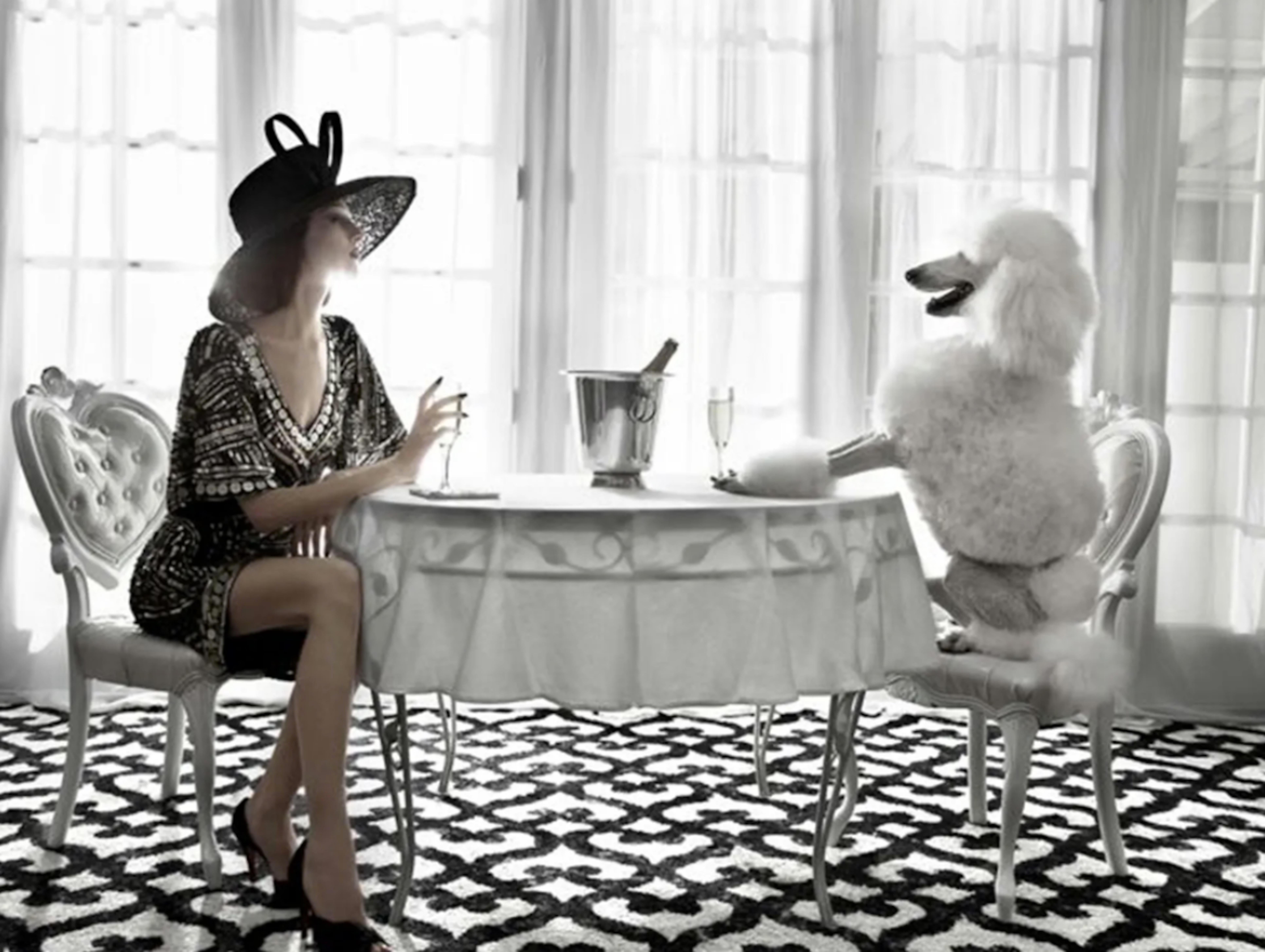 Color Photograph Greg Lotus - Poodle à champagne
