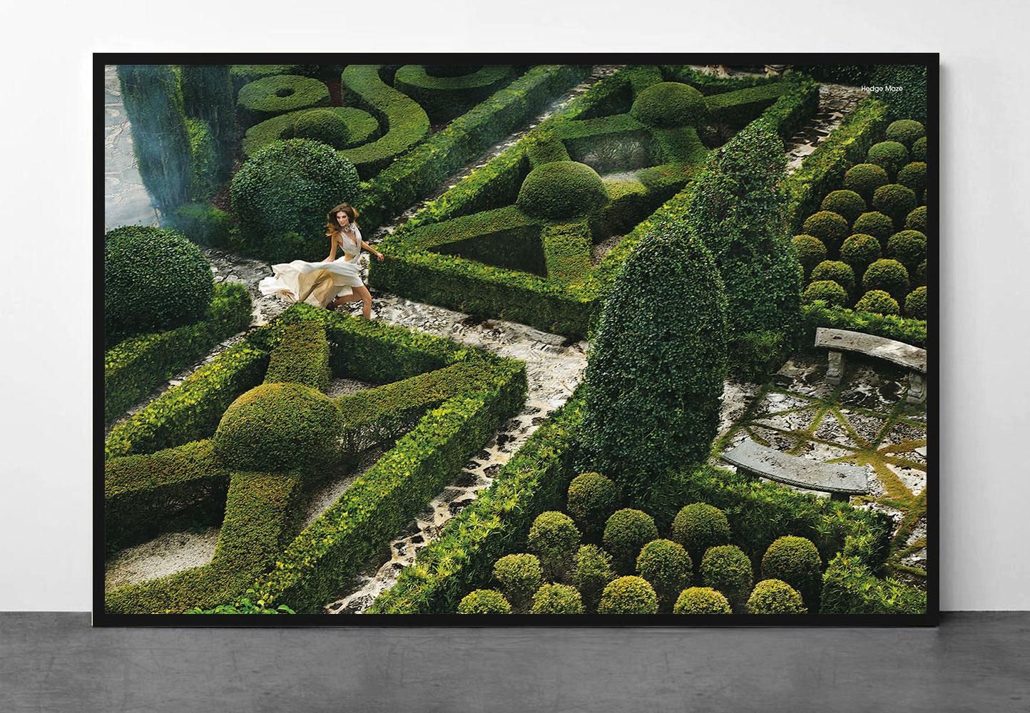 Hedge Maze - Photograph by Greg Lotus