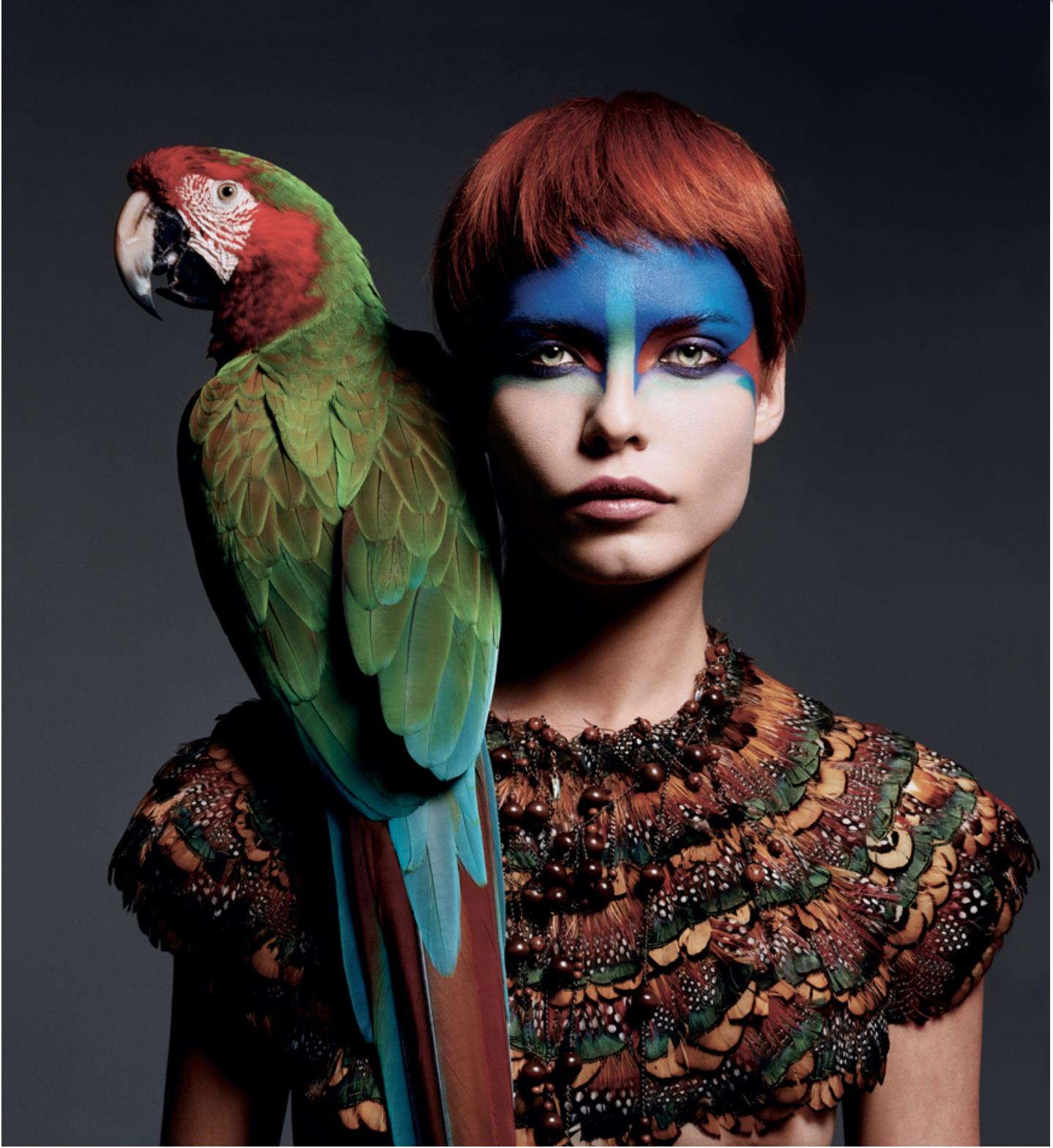 Color Photograph Greg Lotus - Parroquet - Plusieurs tailles et prix sont disponibles sur demande