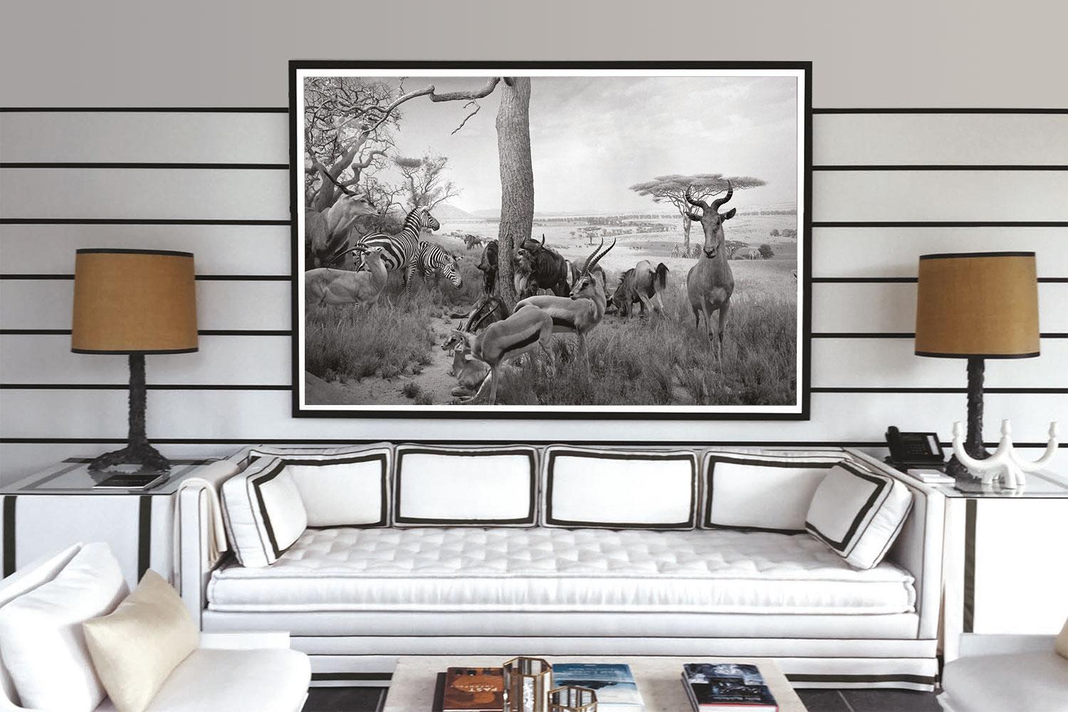 Greg Lotus
Safari, 2019
Modefotografie

Greg Lotus ist ein amerikanischer Modefotograf, der zwischen Miami und New York lebt. Seine Arbeiten sind regelmäßig auf den Seiten der italienischen Vogue, Vanity Fair, GQ, L'Uomo Vogue usw. zu sehen. Lotus