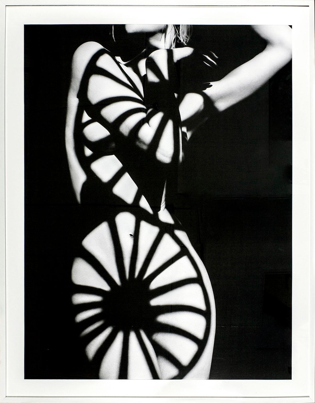 "Wagon Wheel" acrylic with fiber based paper by fashion photographer Greg Lotus. Black and white image of a female nude covered by perfectly positioned shadows cast by wagon wheels. From an edition of 25. Image size approximately 55 1/4 x 41 inches. 