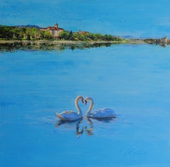 Dos cisnes de Broadmoor