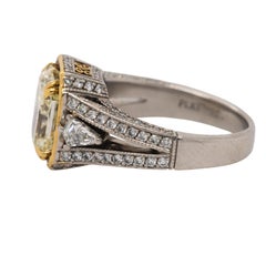 Gregg Ruth Platinum and 18K Yellow Gold Halo Ring