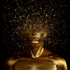 GREGOIRE A MEYER, Open Mind - 24k Gold Leaf 