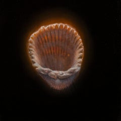 "Shell 16, " Oil Painting