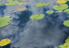 "Lo stagno delle ninfee" (2025) Pittura paesaggistica a olio su tela