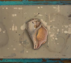 "Whelk, " Oil Painting