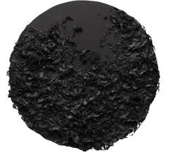 Tabasco series: signed black abstract round circular painting w/ feathers