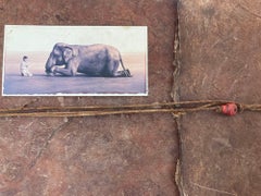 Gregory Colbert Fotografía Cenizas y Nieve Obras Seleccionadas Exposición Santa Monica