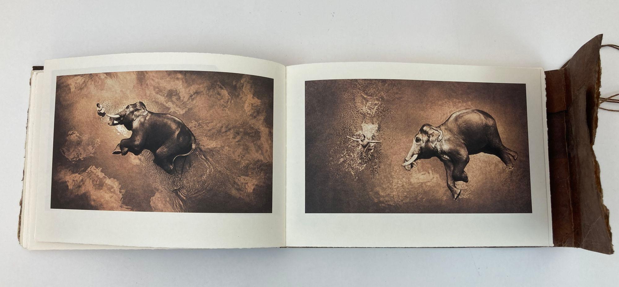 Gregory Colbert Fotografía Cenizas y Nieve Obras Seleccionadas Exposición Santa Monica Siglo XXI y contemporáneo en venta