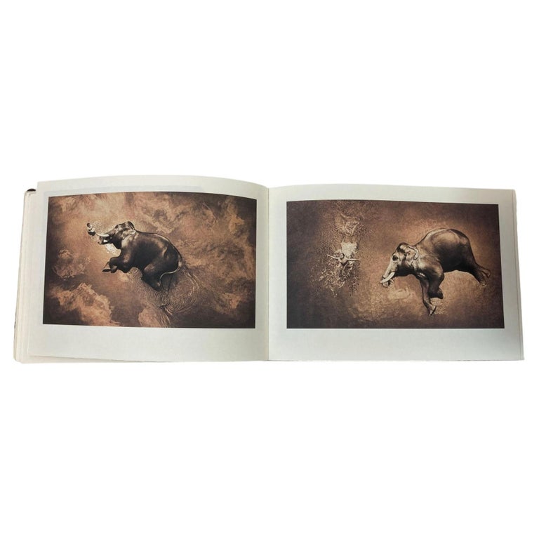 Gregory Colbert Photograph Ashes and Snow Selected Works Santa