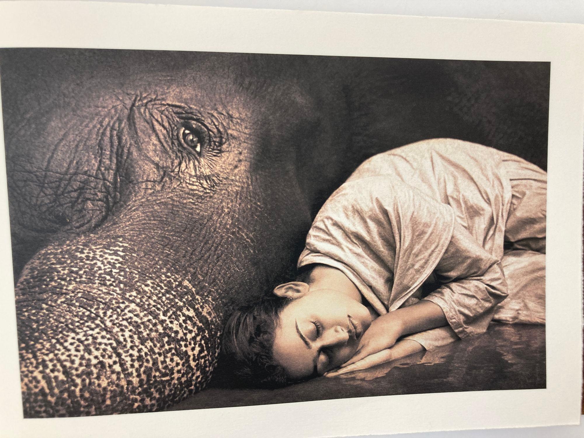 Gregory Colbert Fotografía Cenizas y Nieve Obras Seleccionadas Exposición Santa Monica Papel pergamino en venta