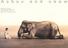 2005 After Gregory Colbert 'Boy Reading to Elephant (lg)' Photography