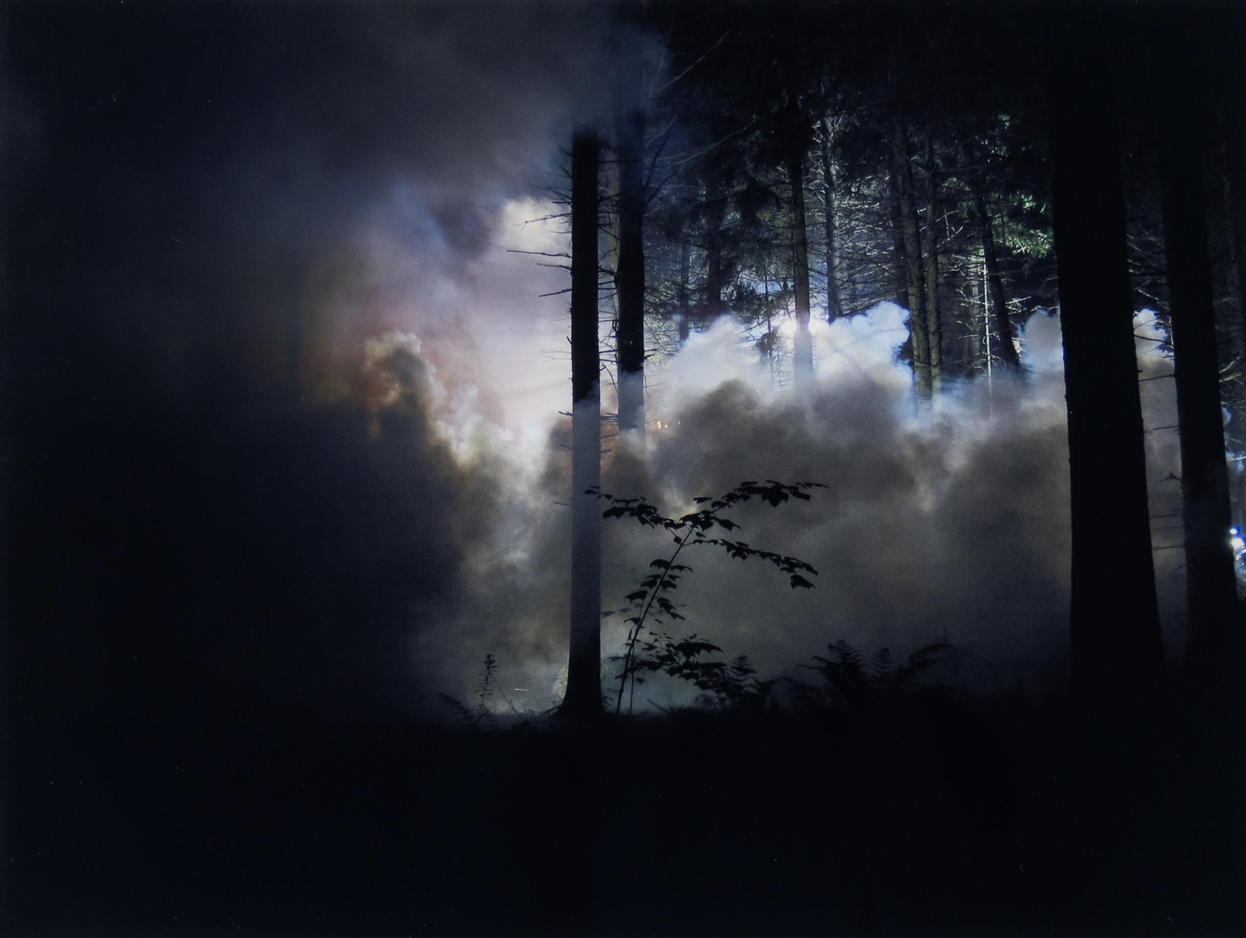 Gregory Crewdson Color Photograph - Production Still (Man in the Woods #3)