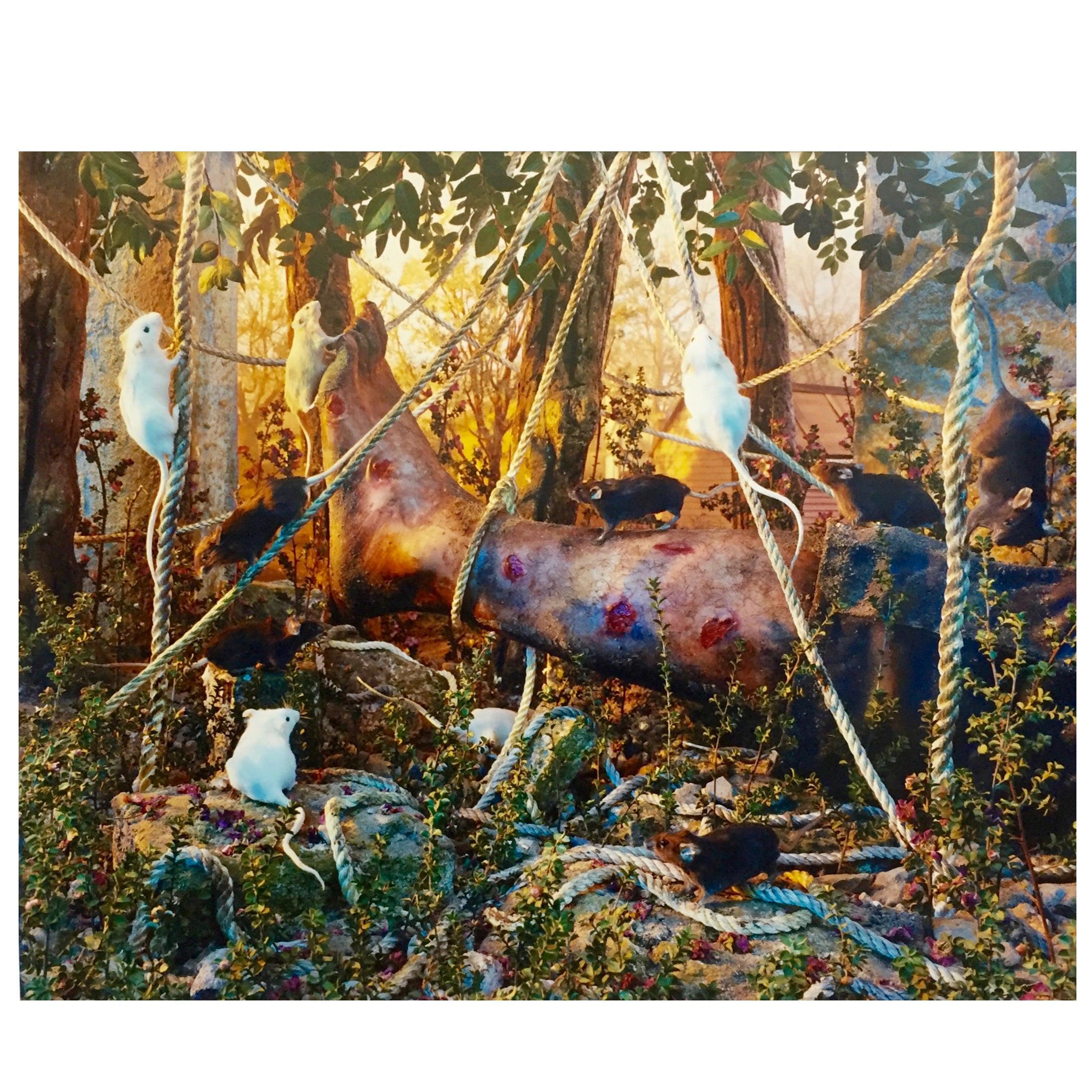 What made Gregory Crewdson famous?