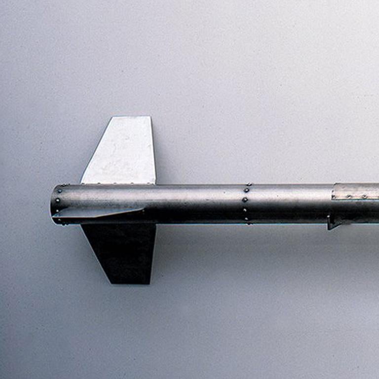 Fido, 1998
Fusée chimique ou biologique
Acier inoxydable, électronique et résine
100 x 12 x 12 pouces 

Fido est une fusée entièrement fonctionnelle avec un nez sculpté à la main, mais il lui manque le détonateur et le carburant. 
Les délais