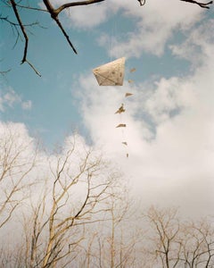 Untitled, from the series King, Queen, Knave