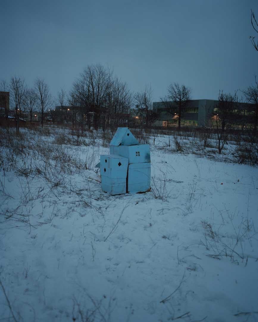 Untitled, from the series King, Queen, Knave
