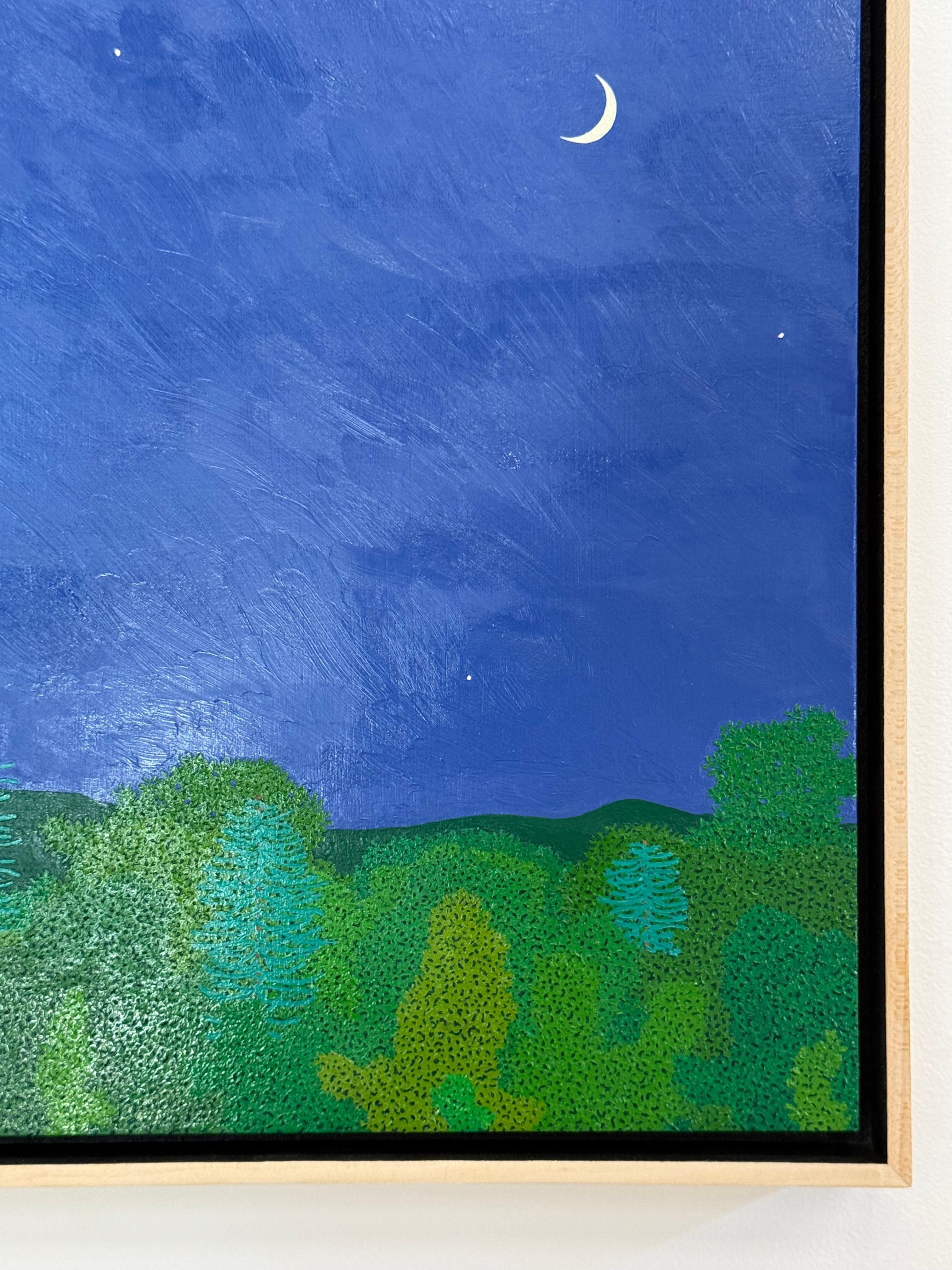 Croissant de lune fin mai - Ciel nocturne Étoiles Woods Vertes Eau Arbres Paysage, 2025 en vente 9