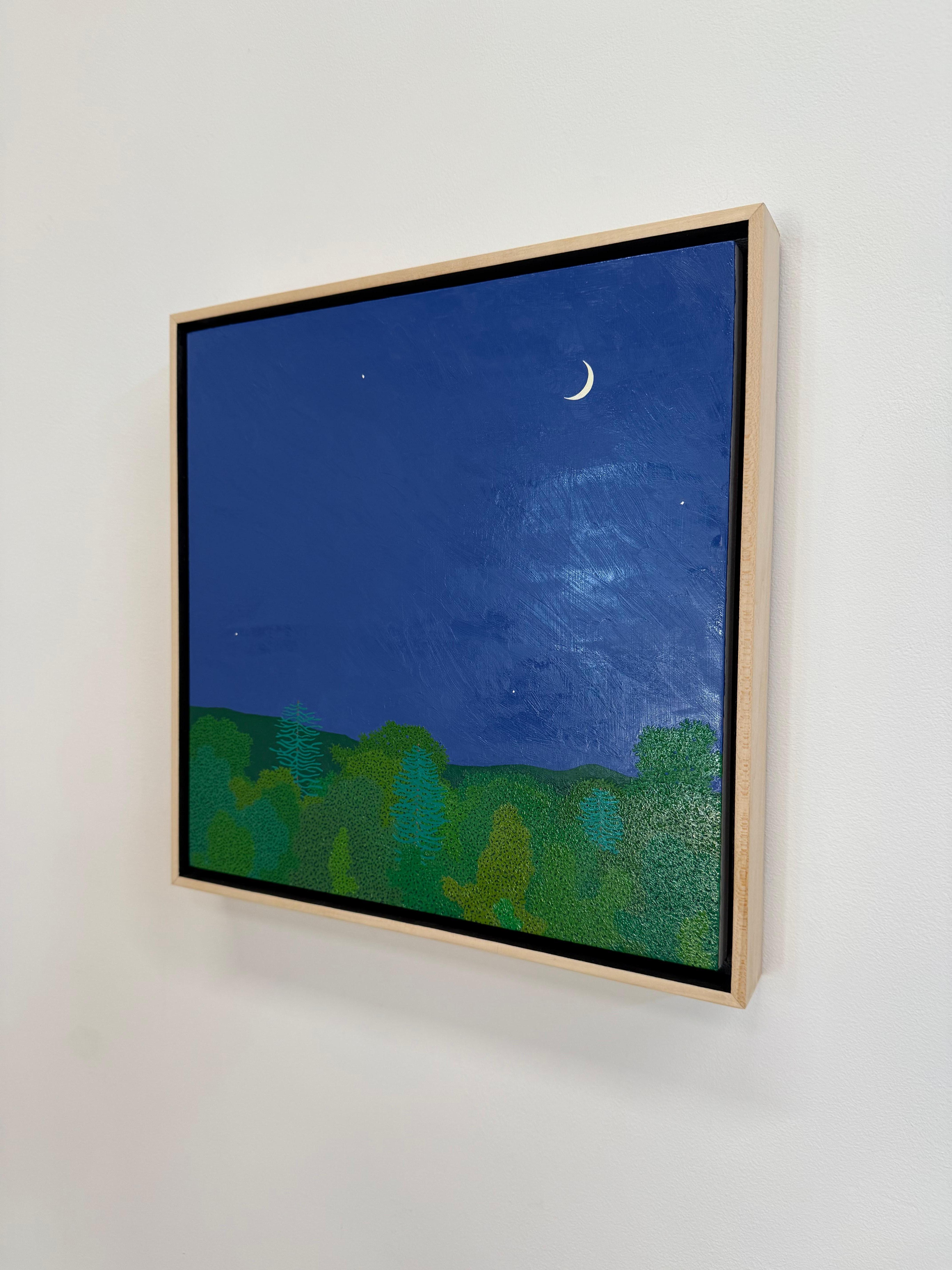 Croissant de lune fin mai - Ciel nocturne Étoiles Woods Vertes Eau Arbres Paysage, 2025 en vente 10