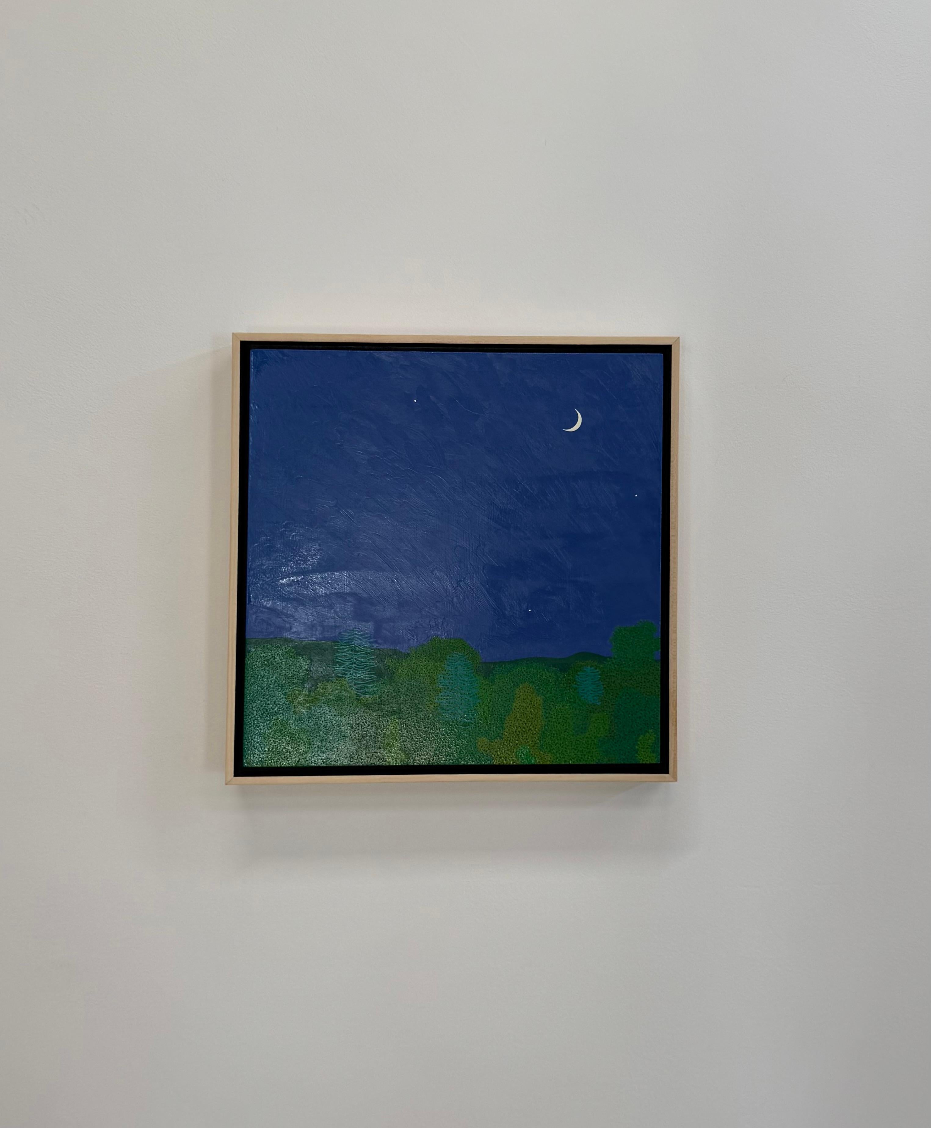 Croissant de lune fin mai - Ciel nocturne Étoiles Woods Vertes Eau Arbres Paysage, 2025 en vente 11