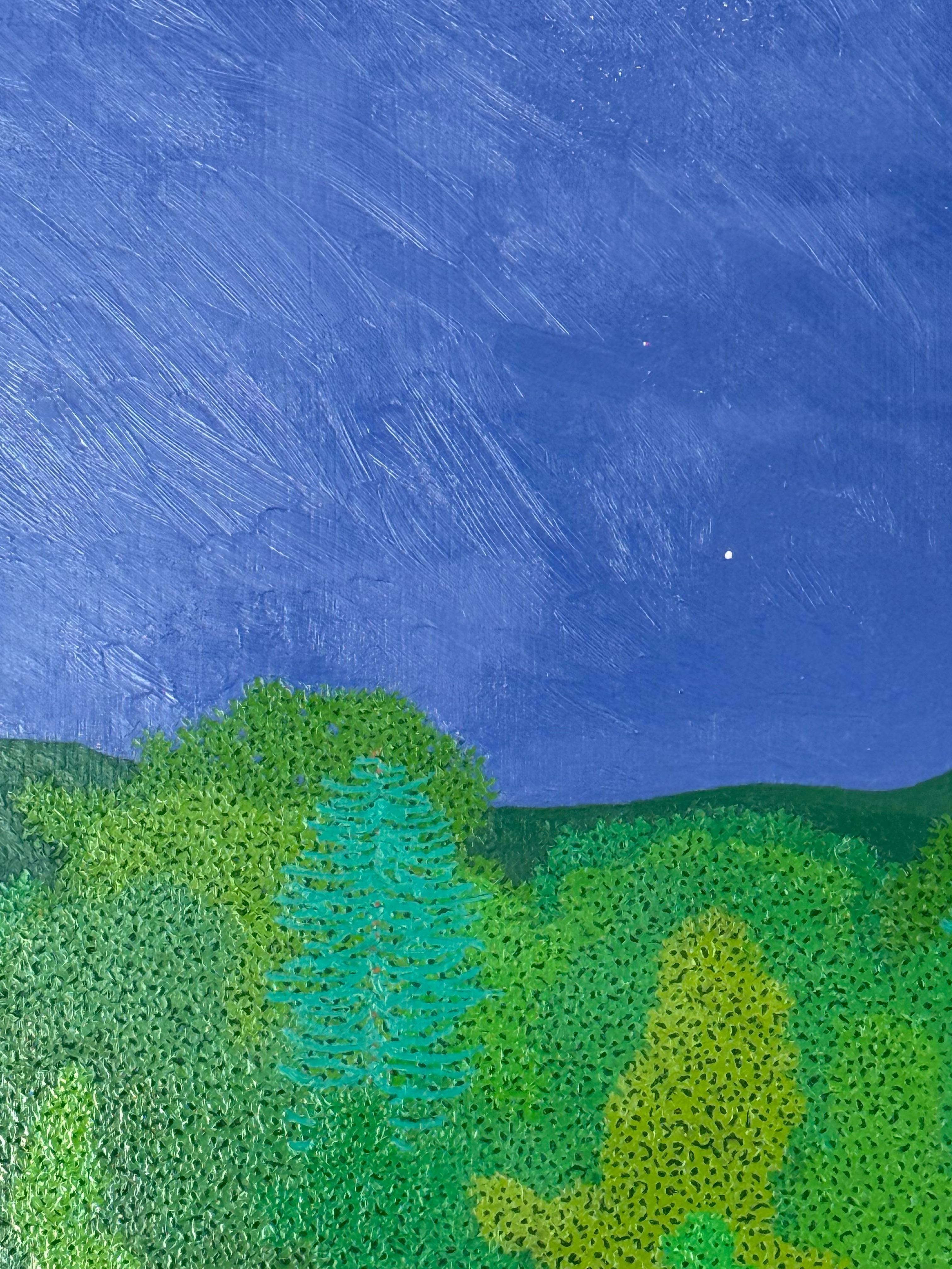 Croissant de lune fin mai - Ciel nocturne Étoiles Woods Vertes Eau Arbres Paysage, 2025 en vente 1