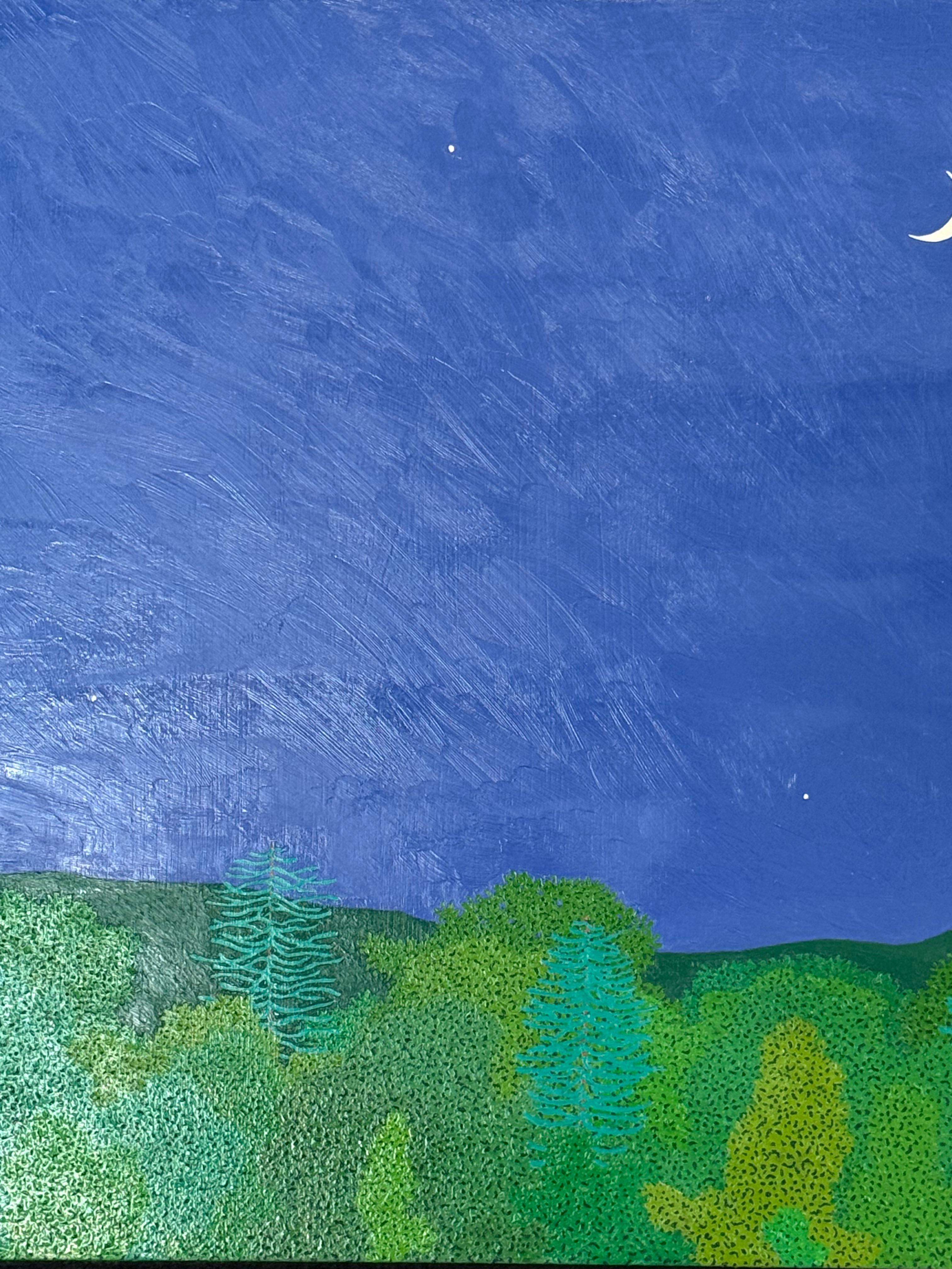 Croissant de lune fin mai - Ciel nocturne Étoiles Woods Vertes Eau Arbres Paysage, 2025 en vente 2