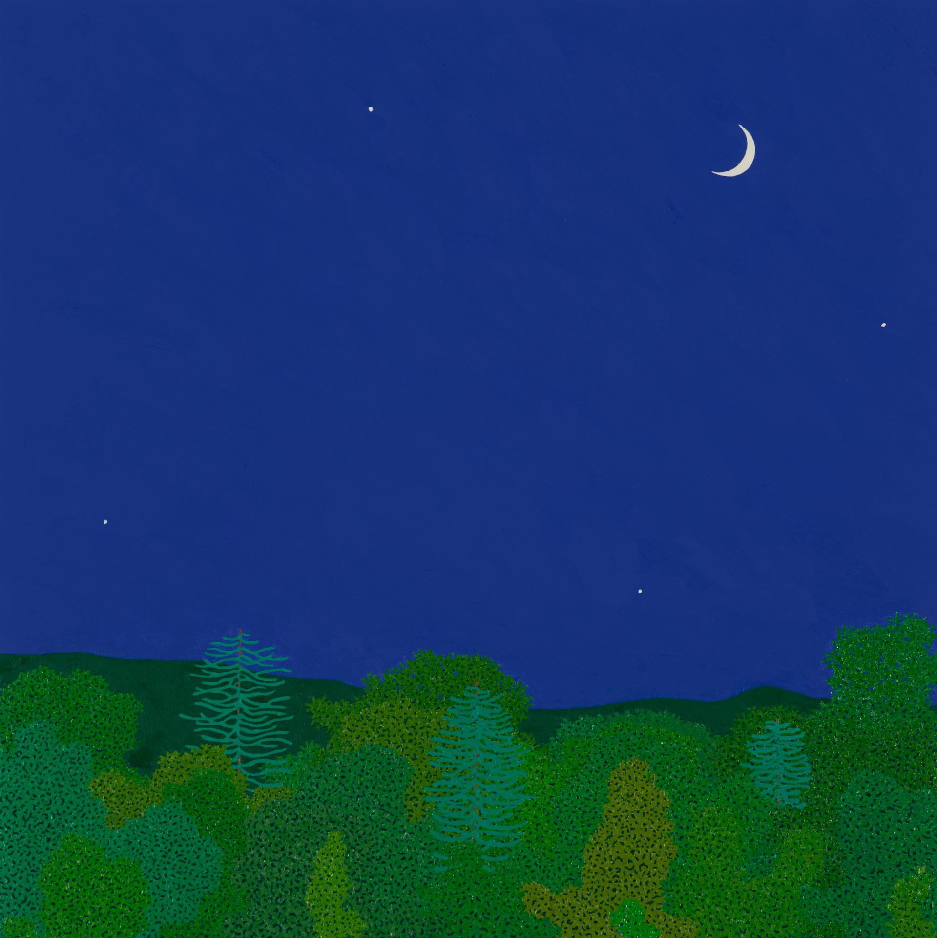 Landscape Painting Gregory Hennen - Croissant de lune fin mai - Ciel nocturne Étoiles Woods Vertes Eau Arbres Paysage, 2025
