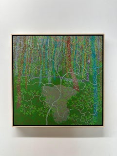 Dense Ferns Early Morning May Wyatt Mountain - Virginia Forest Landscape, 2025