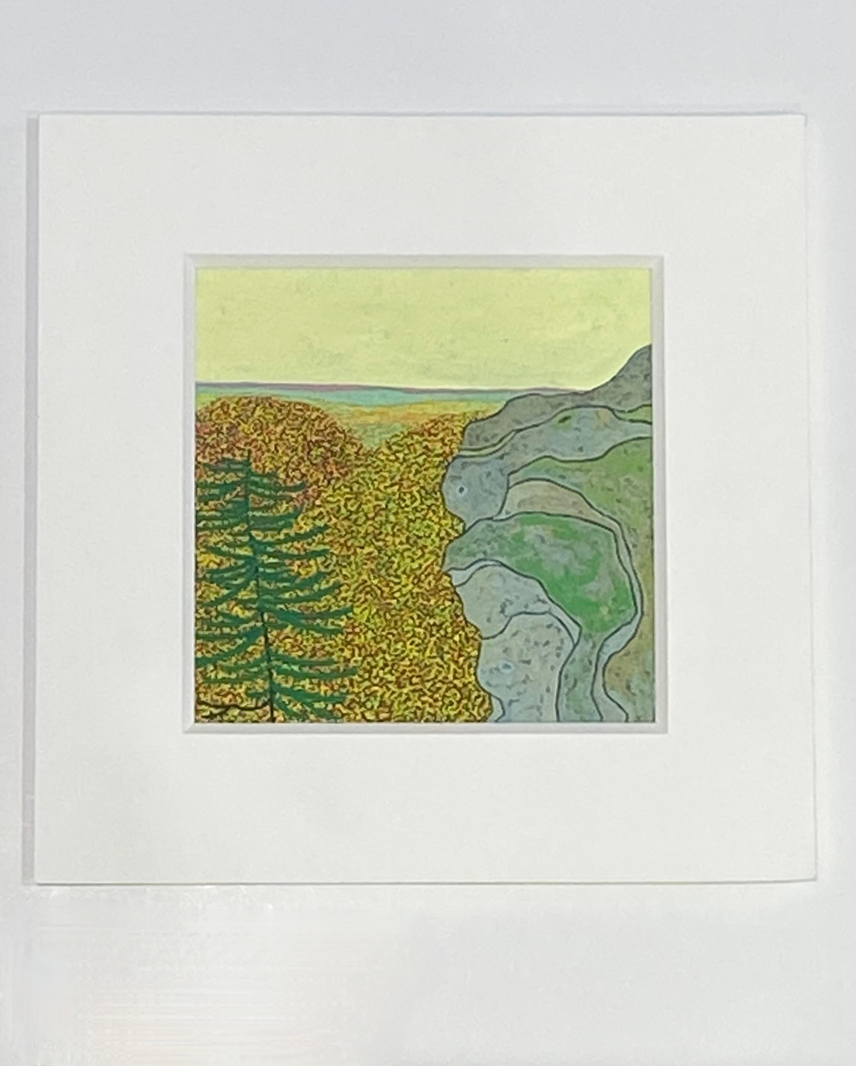 High Ridge - October Landscape Mountain Pine Yellow Autumn Leaves Virginia, 2020 For Sale 11
