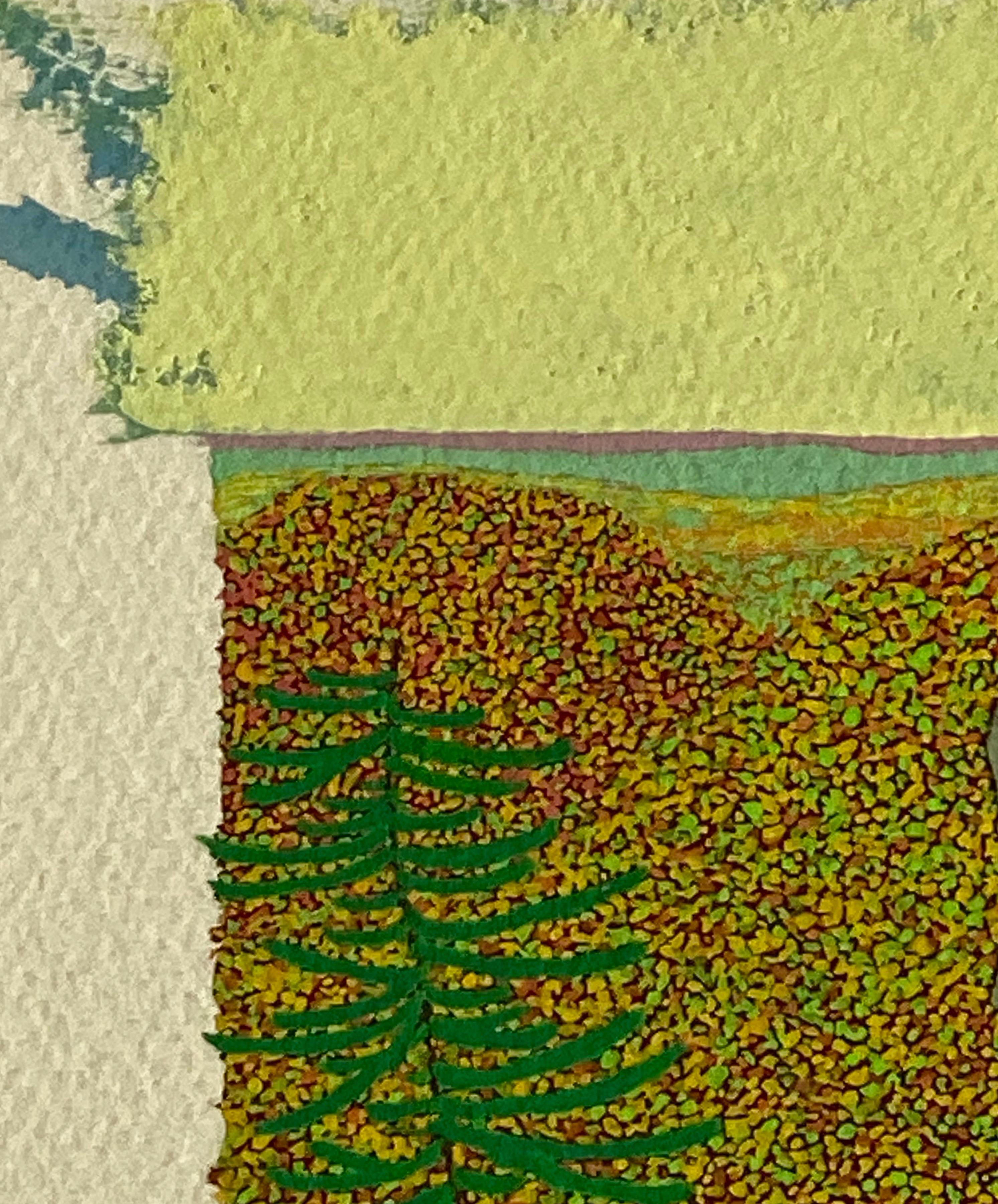 Dieses detailreiche Landschaftsgemälde zeigt einen Blick auf das Herbstlaub von einem grauen Felsen auf dem Wyatt Mountain in der Nähe von Gregory Hennens Haus in Virginia. Die vielen Schattierungen von Orange, Gelb und Grün stehen im Kontrast zu