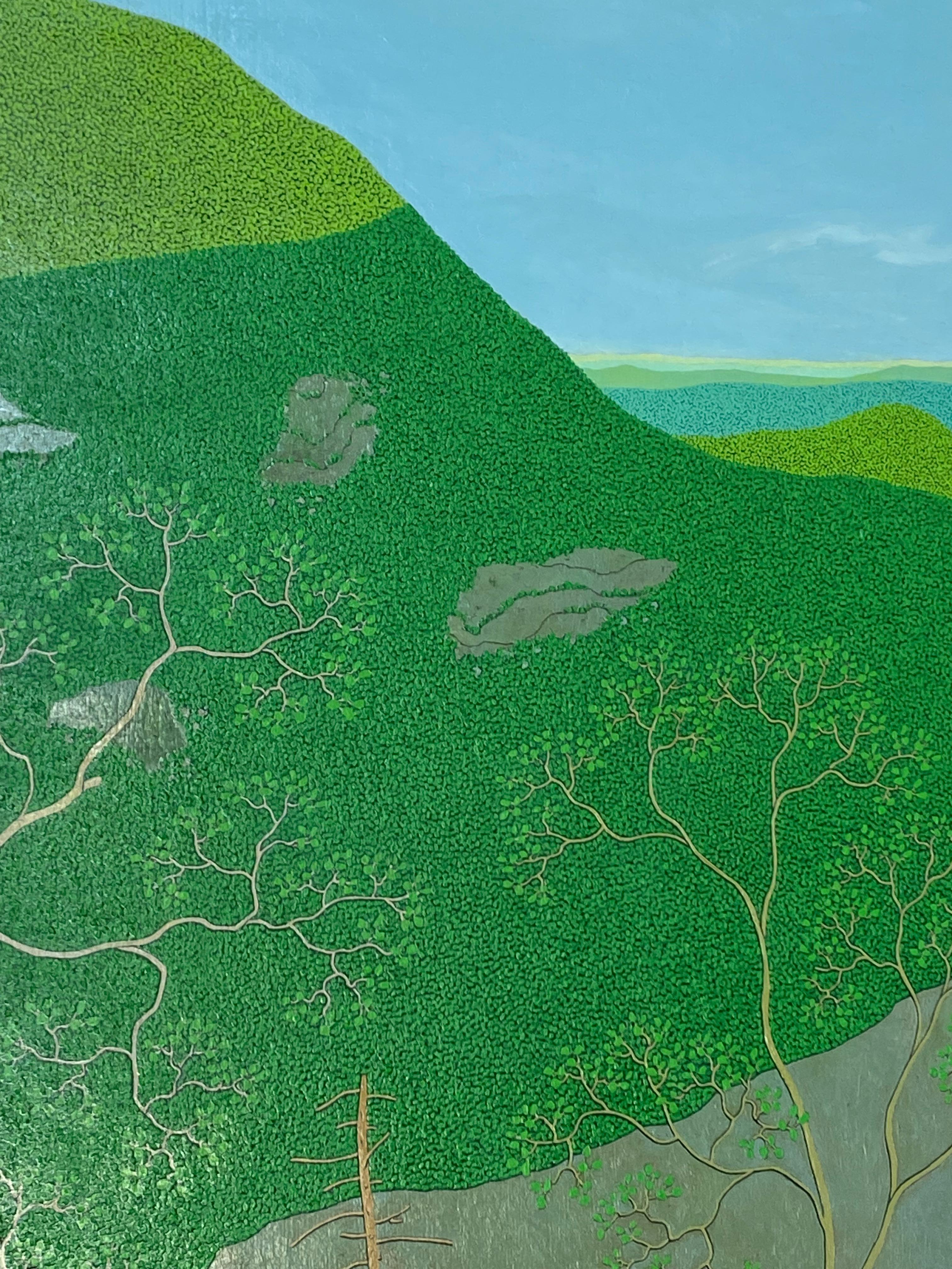 Última luz en Slaters Ridge Wyatt Mt - Paisaje montañoso verde de cielo azul, 2017 en venta 6
