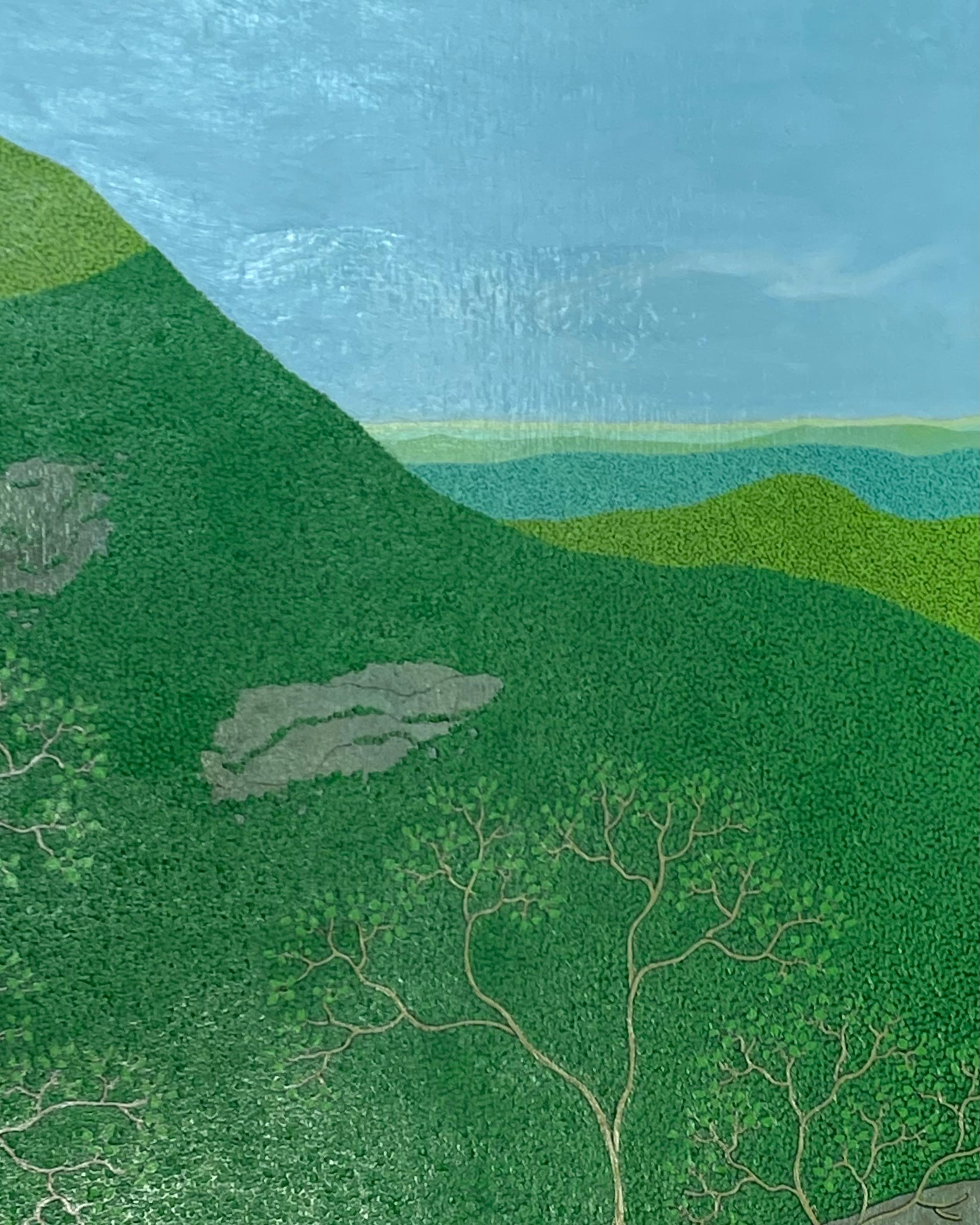 Última luz en Slaters Ridge Wyatt Mt - Paisaje montañoso verde de cielo azul, 2017 en venta 7