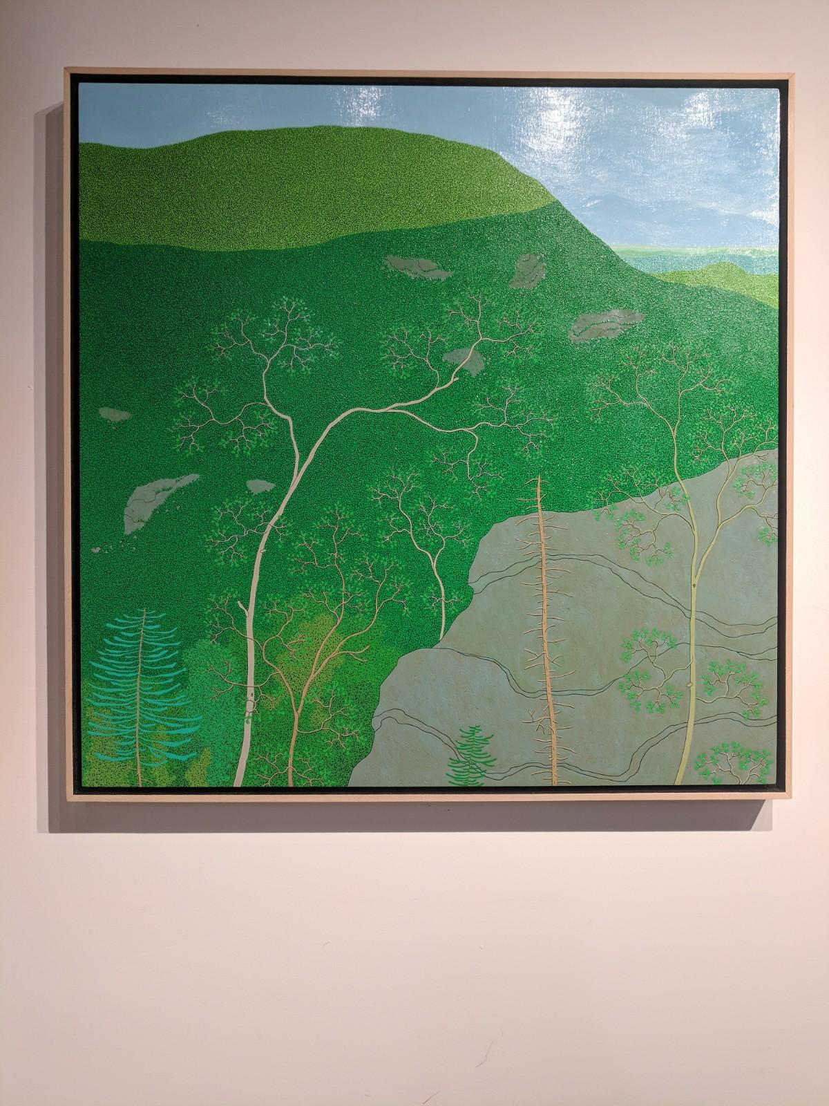 Última luz en Slaters Ridge Wyatt Mt - Paisaje montañoso verde de cielo azul, 2017 en venta 11