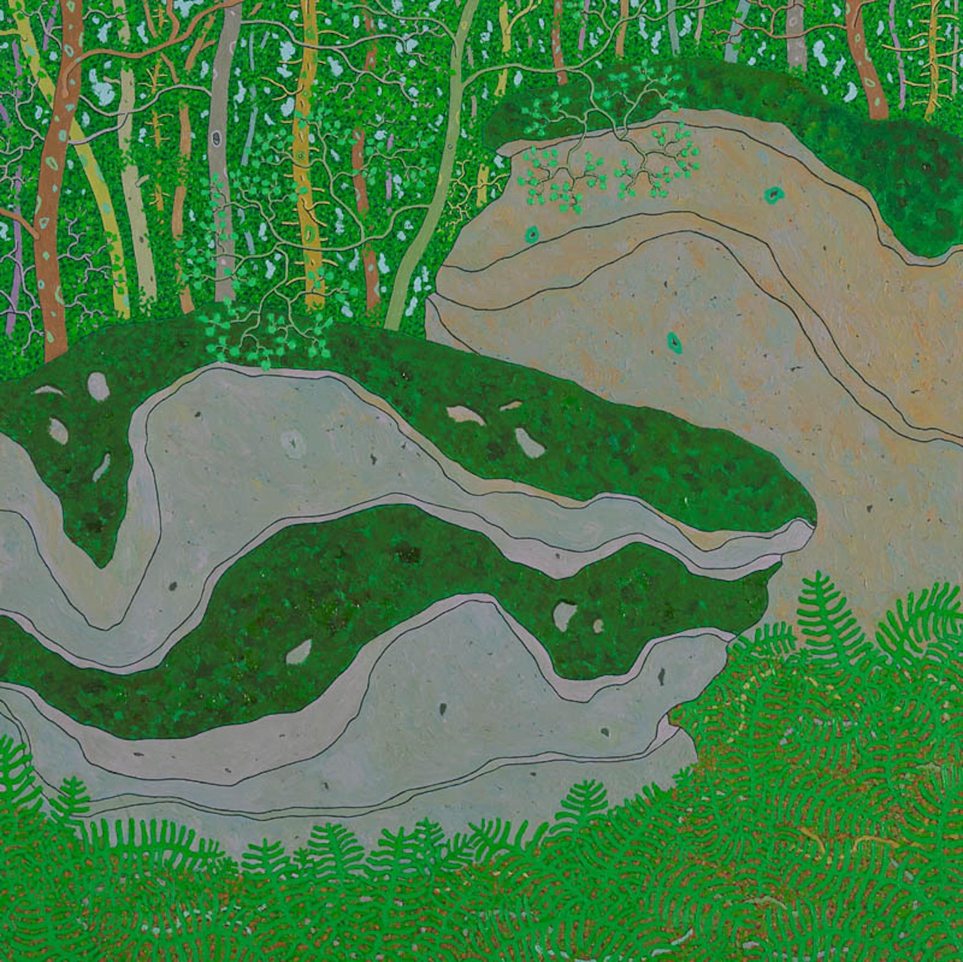 Boulders recouverts de mousse août - Paysage de forêt d'été, 2014