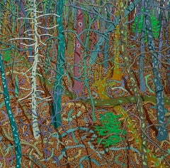 Ancien pin, mars, mai, Wyatt Mt., paysage forestier, bois bruns botaniques