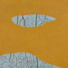 Reflejo entre hojas flotantes - Paisaje forestal otoñal 2023
