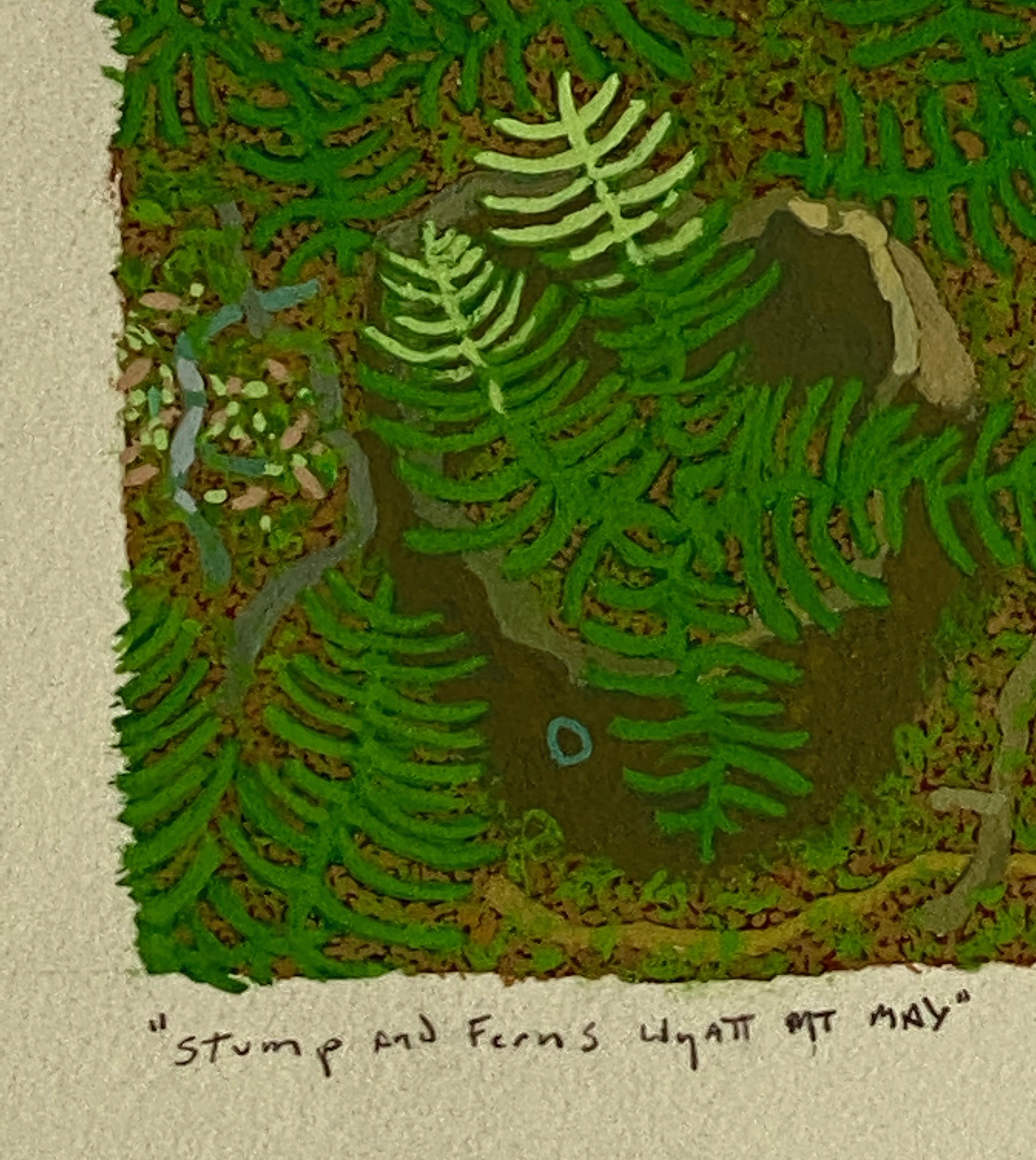 Baumstumpf und Farne May Wyatt Mt. - Contemporary Forest Landscape Green Botanical (Zeitgenössisch), Painting, von Gregory Hennen
