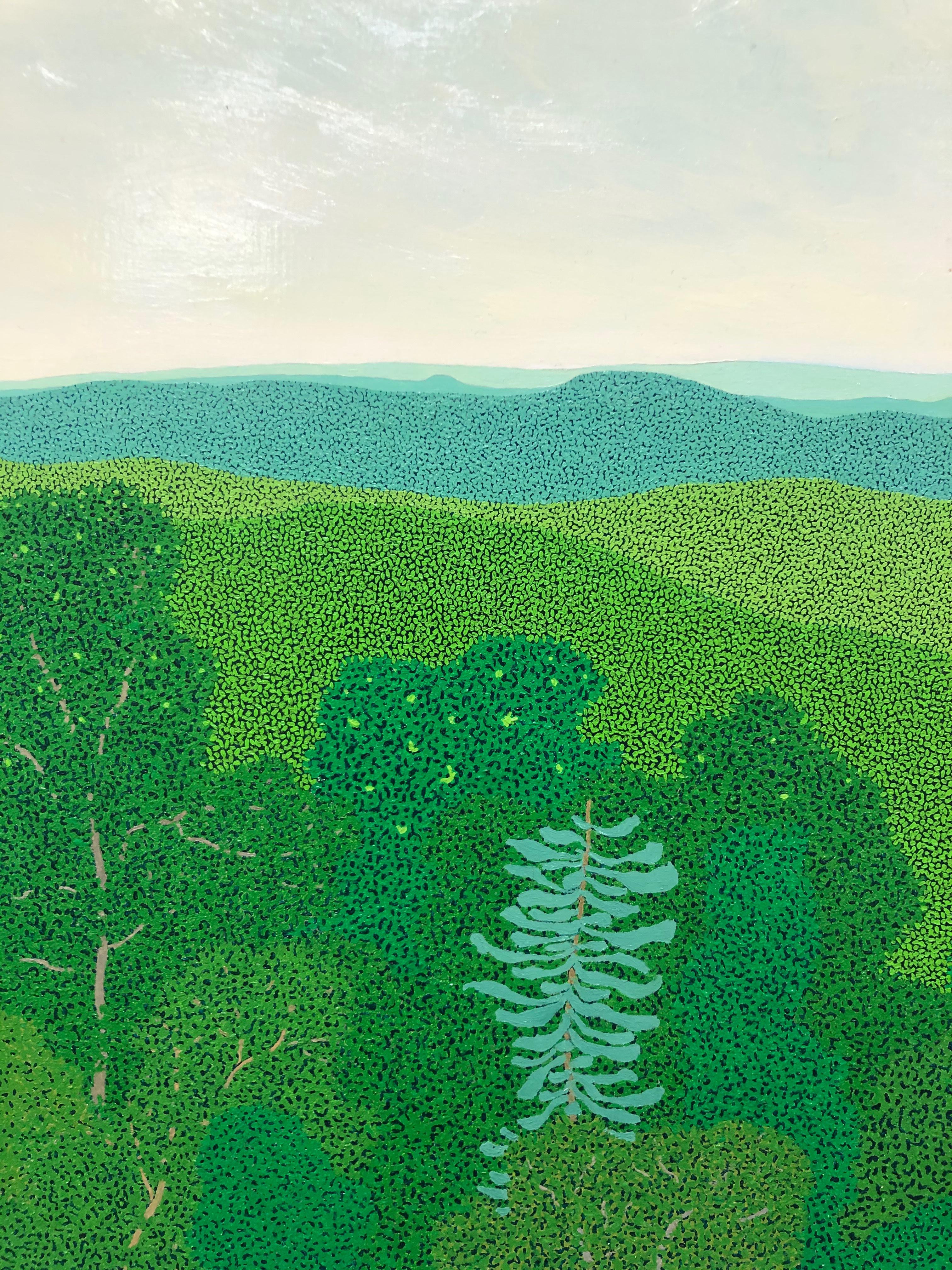 The densely treed forest and mountain ledges of Hennen's Virginia home are the subject for this rich, highly detailed oil painting. Recording the changing light from the mountain ridge, Hennen captures its many shades of green, blue and gold. This